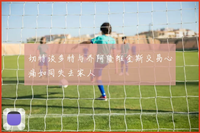 切特谈多特与乔阿隆维金斯交易心痛如同失去家人