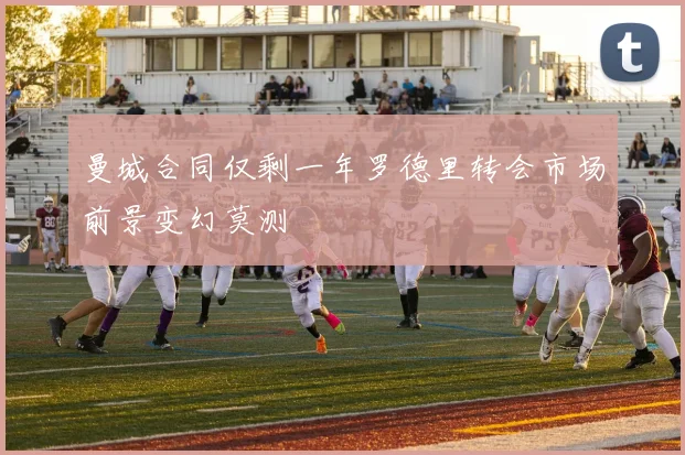曼城合同仅剩一年罗德里转会市场前景变幻莫测